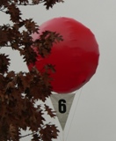 t_balloon3